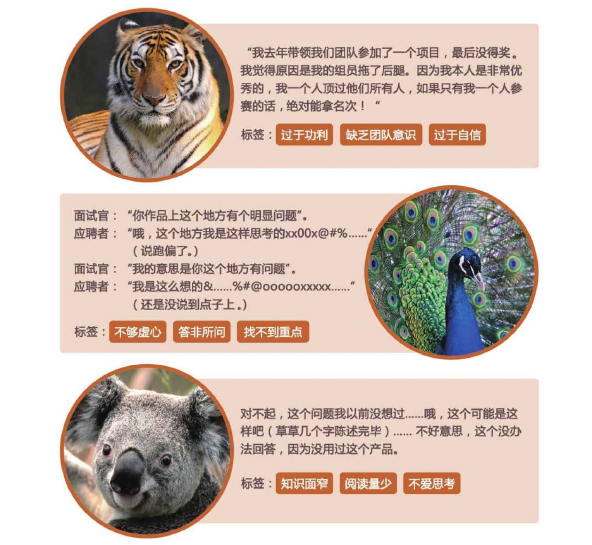盐盆网站制作与维护：什么样的候选人我会说“不”