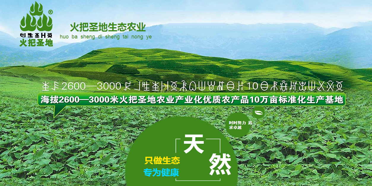 盐盆高端网站建设公司：电子商务网站由软硬件基础架构提供支持。由一系列网页组成， 编程技术， 和背景数据库，有各种功能来实现电子商务应用程序，它可以作为广告， 配送剂， 银行交通公司中介和信息流动平台。