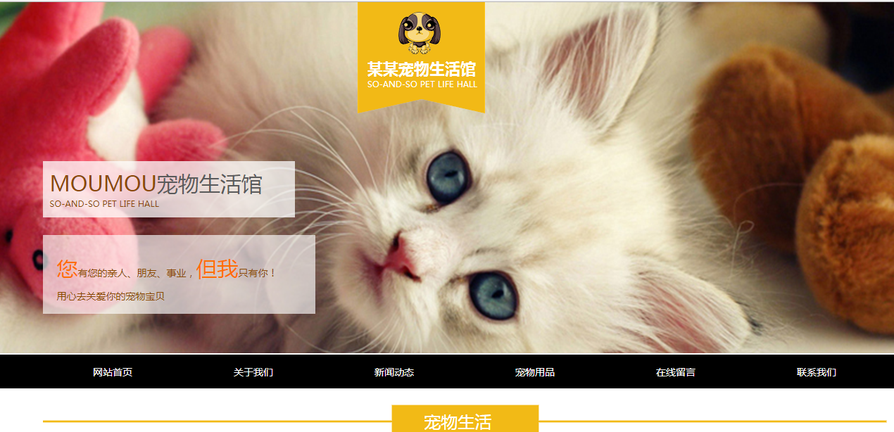 盐盆市网站制作_1）网站名称设计