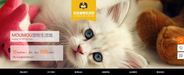 盐盆外贸营销型网站建设_在网站上显示百度统计图标，您可以直接点击地图输入人们百度统计数据。方便查看网站数据。