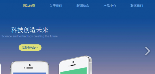 盐盆专业制作营销网站定制_首先，关键词竞标排名