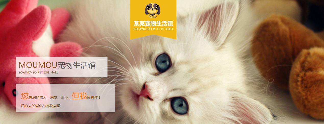 使用应用程序日志文件诊断问题并防止问题。实现监视日志文件的过程，强制性人采取措施来发现问题。使用各种监控工具，如自定义脚本或splunk，观察日志，找一个错误。导出这些错误，分配人员来识别和解决相关问题。