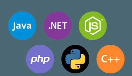 盐盆模板网页设计官网_很多人都咨询公司网站以制作PHP或Java？以下是本地市场信息技术公司介绍。